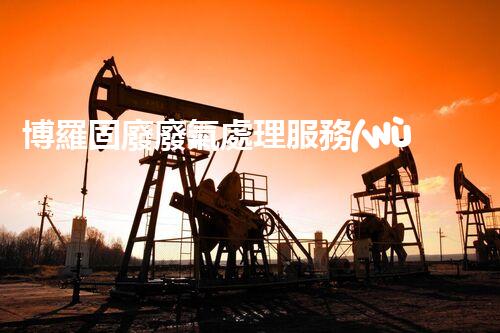 博羅固廢廢氣處理服務(wù)，靠譜又省心？快來了解！